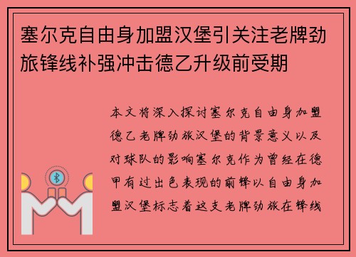 塞尔克自由身加盟汉堡引关注老牌劲旅锋线补强冲击德乙升级前受期