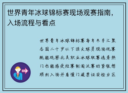 世界青年冰球锦标赛现场观赛指南，入场流程与看点