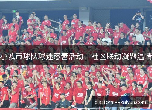 小城市球队球迷慈善活动，社区联动凝聚温情